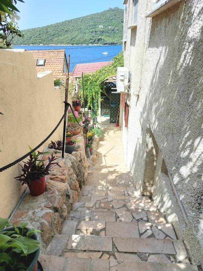 Villa Riva Molunat Exteriör bild